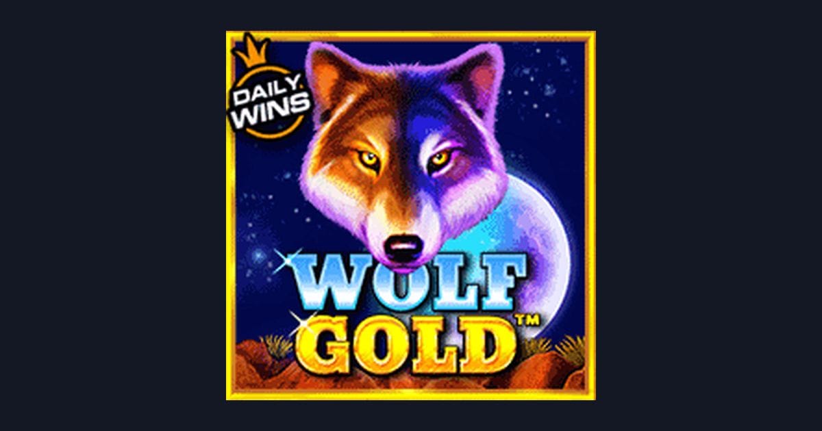 Tips Menang Wolf Gold untuk Pemula dengan Modal Receh dan Hemat